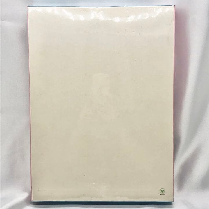 激レア ディズニーランド Fantasy in the Sky パズル