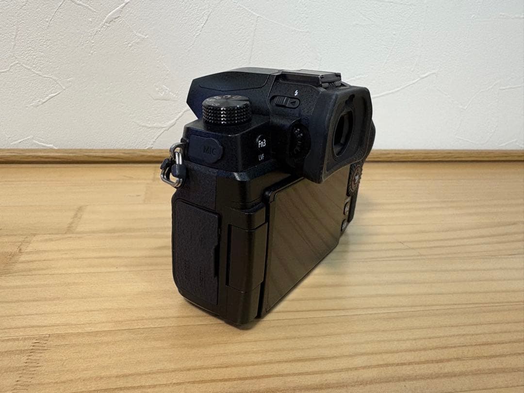 LUMIX G DC-G99 とOlympus 9mm フィッシュアイ　セット