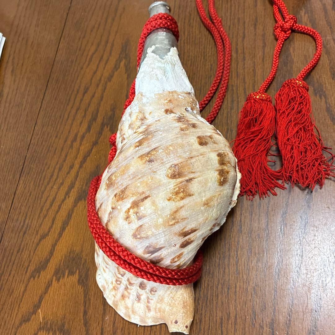 貝殻楽器 赤い紐付き 約20cm