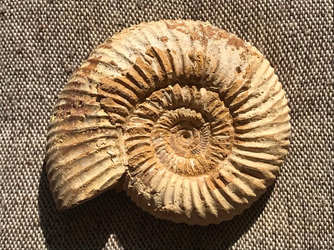 珈琲マリーム様 リクエスト 2点 まとめ商品