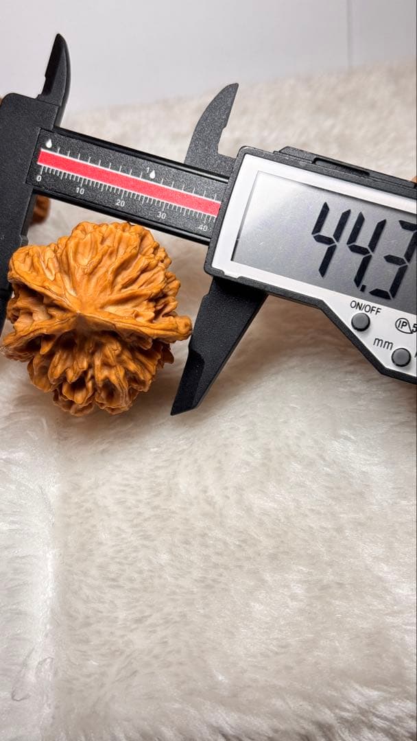 44极品帝王三棱