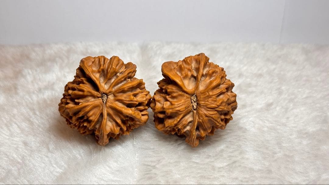 44极品帝王三棱