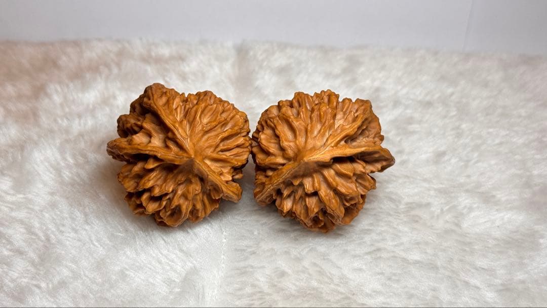 44极品帝王三棱