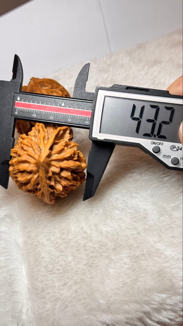 44极品帝王三棱