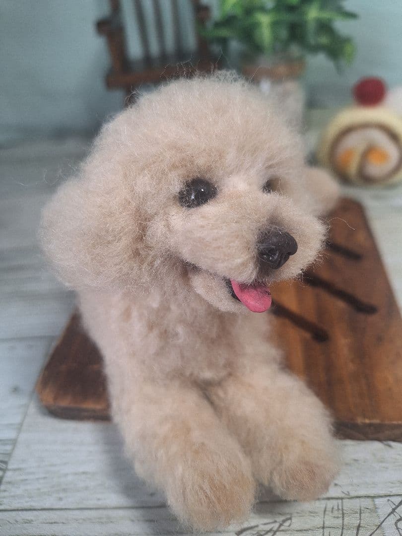 羊毛フェルト　トイプードルクリーム　アプリコット