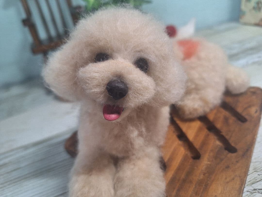 羊毛フェルト　トイプードルクリーム　アプリコット