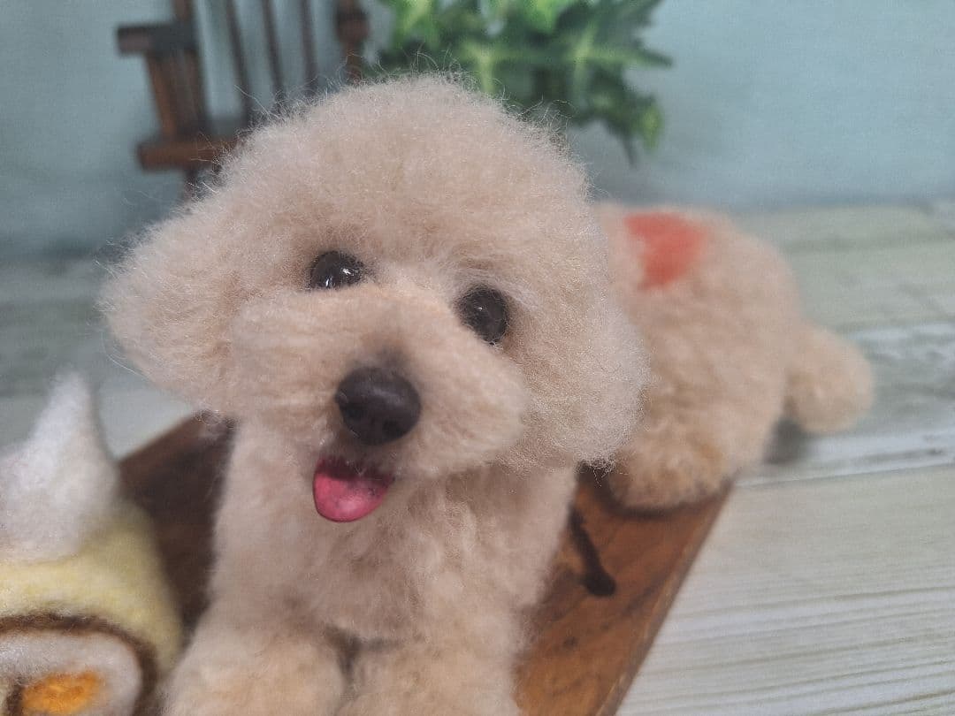 羊毛フェルト　トイプードルクリーム　アプリコット