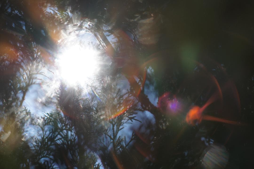 極美品✨作例有 PENTAX スーパータクマー 55mm f1.8 後期