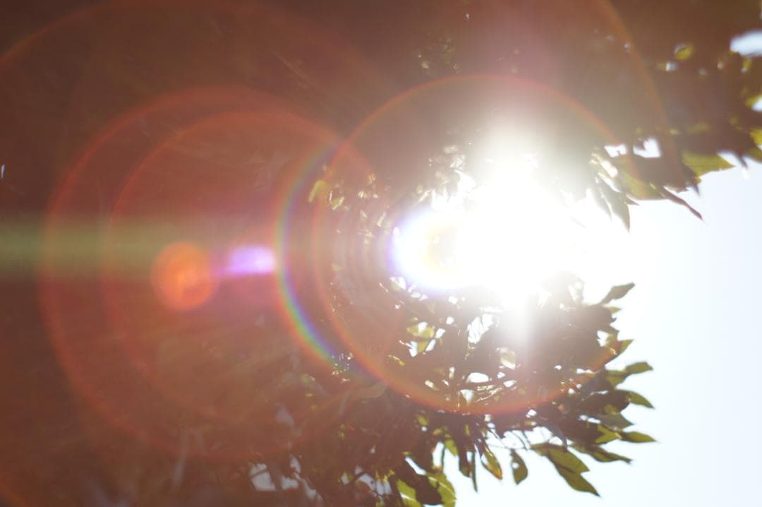 極美品✨作例有 PENTAX スーパータクマー 55mm f1.8 後期