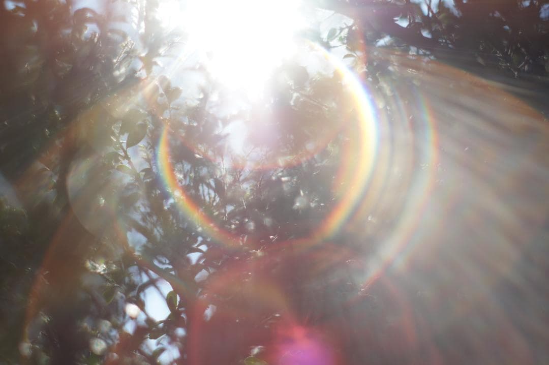 極美品✨作例有 PENTAX スーパータクマー 55mm f1.8 後期