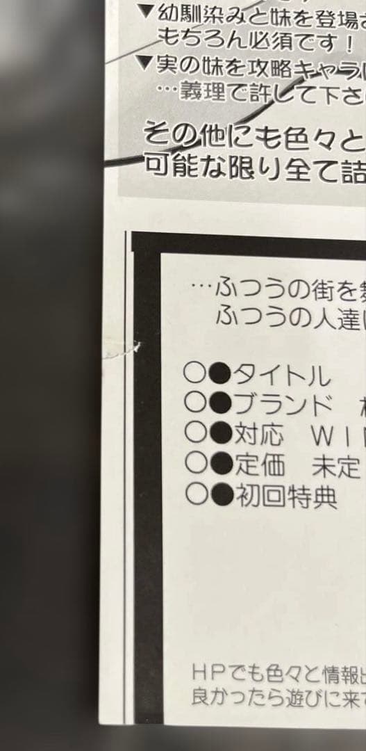 みずいろ 2000年 当時 チラシ フライヤー ねこねこソフト