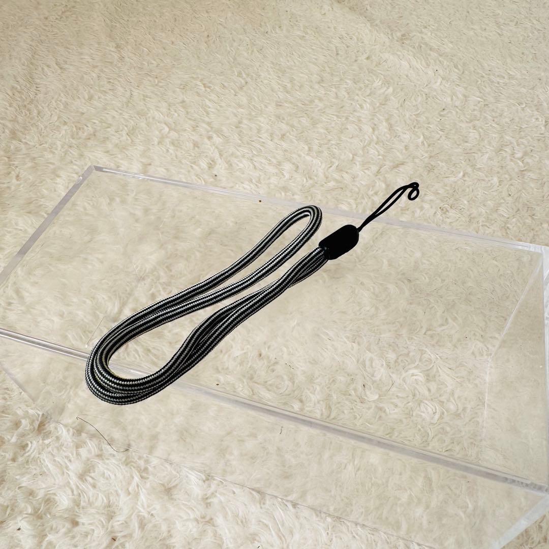 【良品】パナソニック DMC-FX2 シルバー 動作確認済み 付属品多数