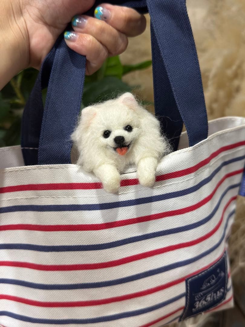 クリップペット　ポメラニアン　うちの子　ポメ　犬　羊毛フェルト