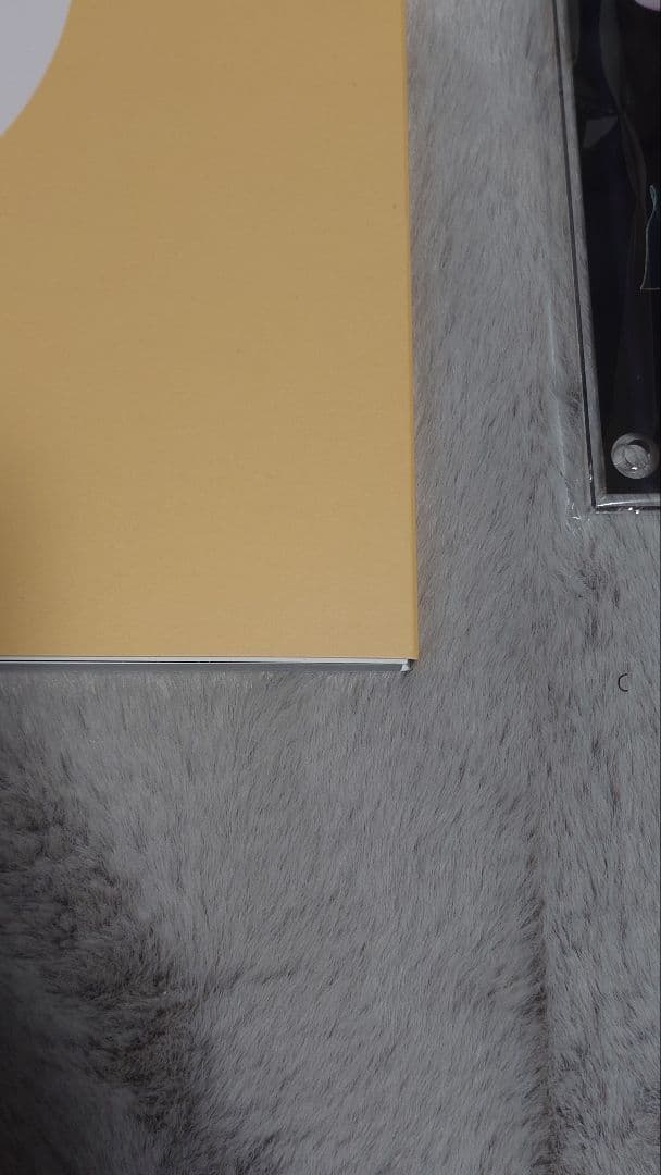 FRUITS ZIPPER SPECIAL LIVE写真集 早瀬ノエル