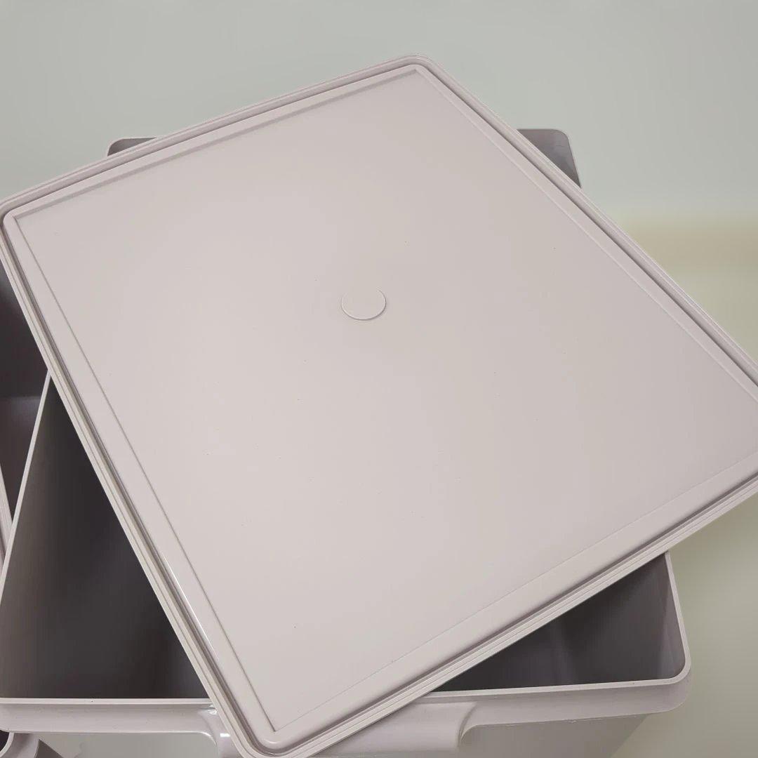 【2個セット】タッパーウェア　保存容器　衣類収納　ピンク