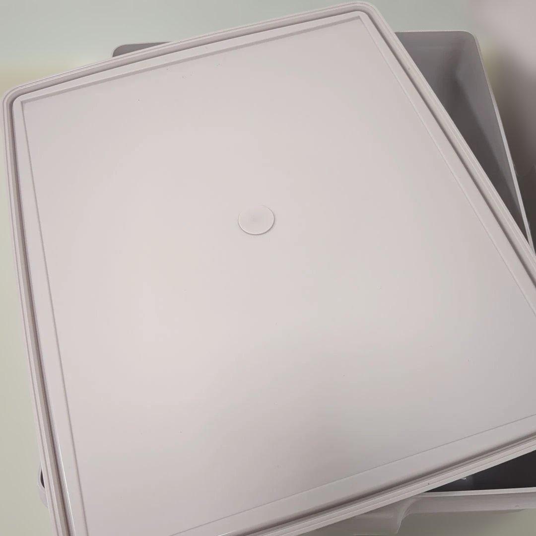 【2個セット】タッパーウェア　保存容器　衣類収納　ピンク