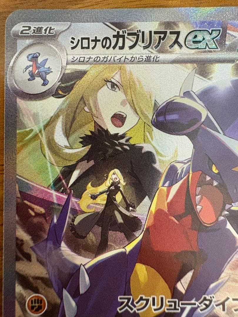 【美品】 シロナのガブリアスex sar ローダー発送