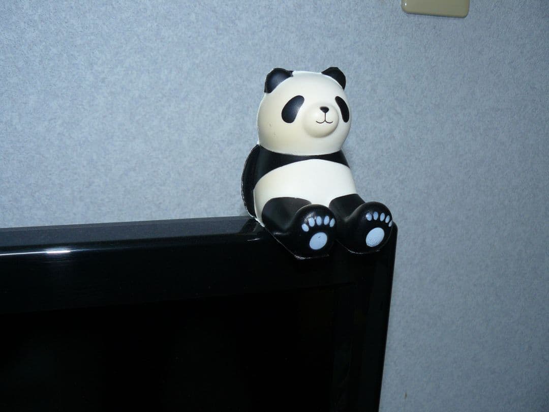 Panasonic LUMIX DMC-FZ8 デジタルカメラ