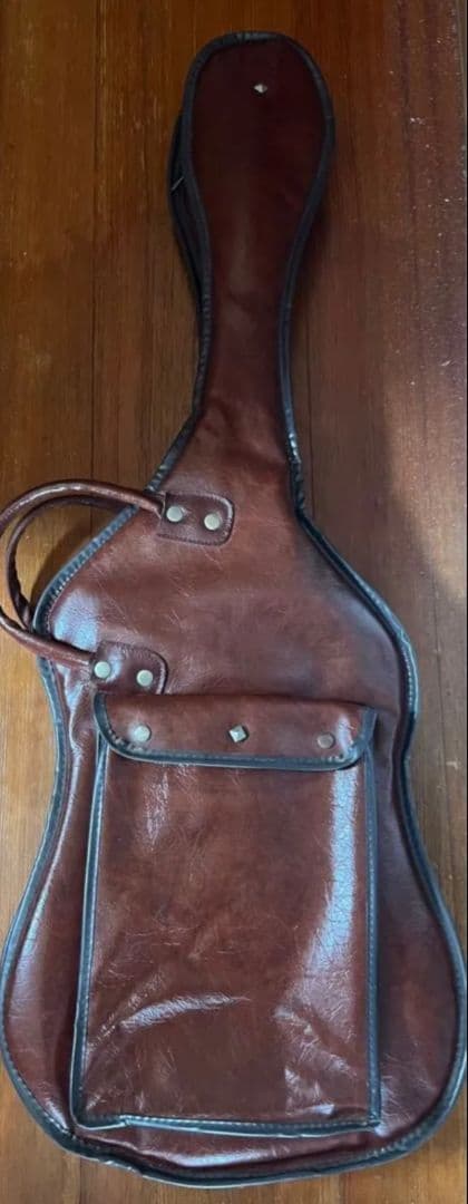 【Vision】 Lespaul タイプギター