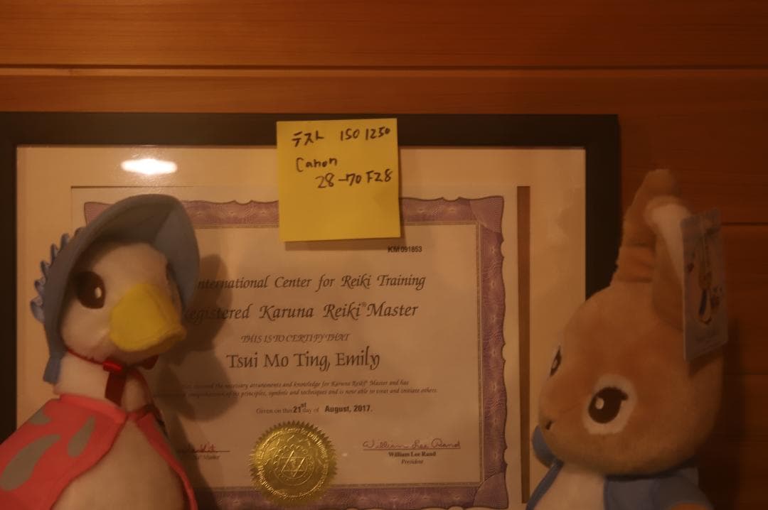 Canon EF F2.8 28-70mm L USM キヤノン AFレンズ