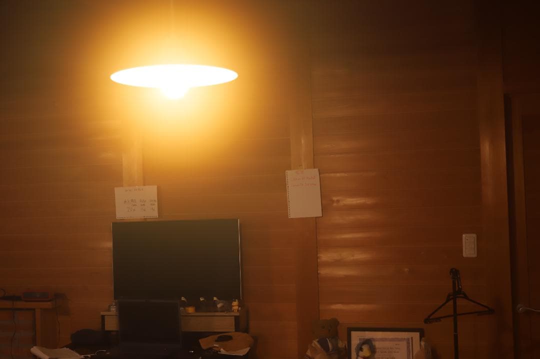 Canon EF F2.8 28-70mm L USM キヤノン AFレンズ