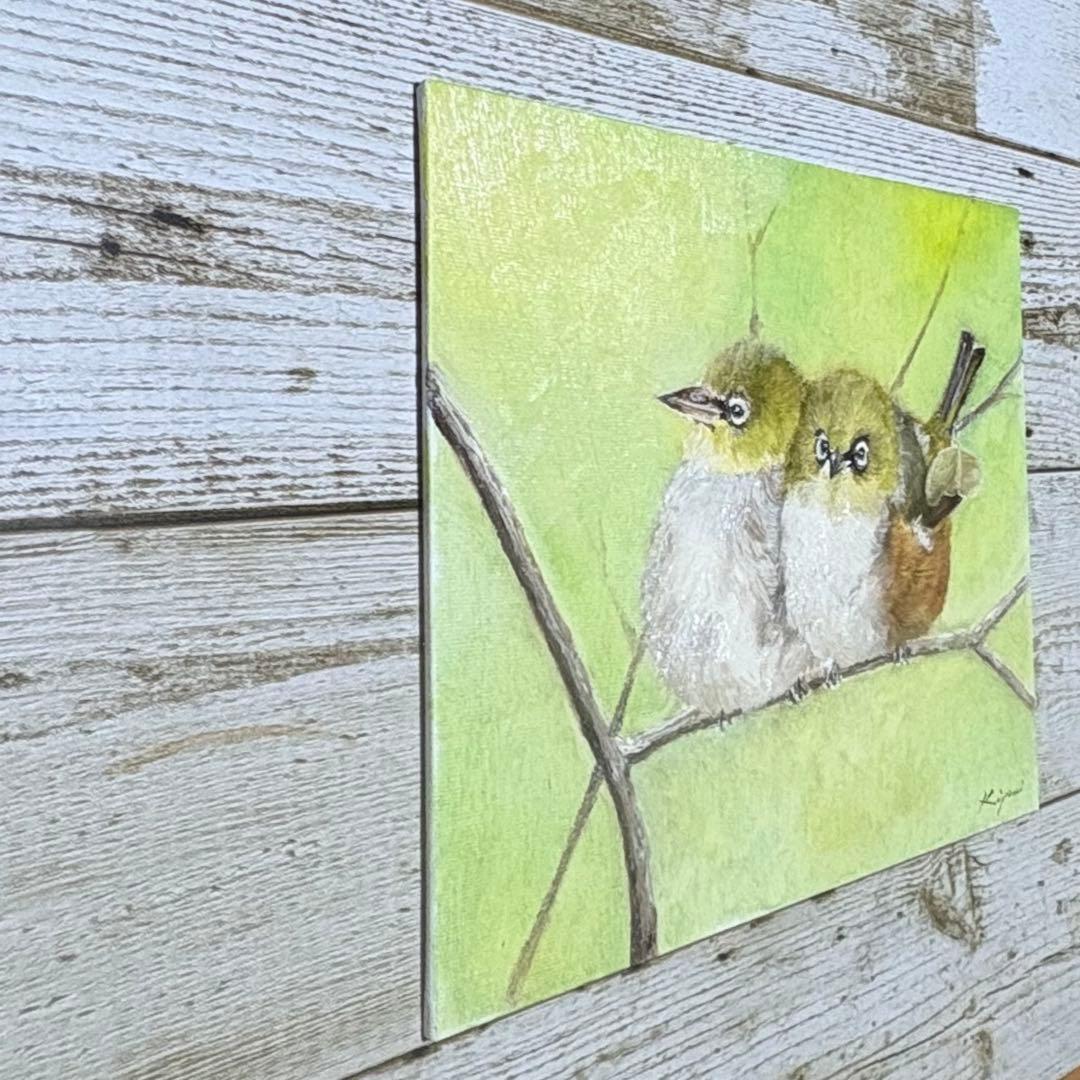 メジロ　【油絵原画】　20.32cm×25.4cm