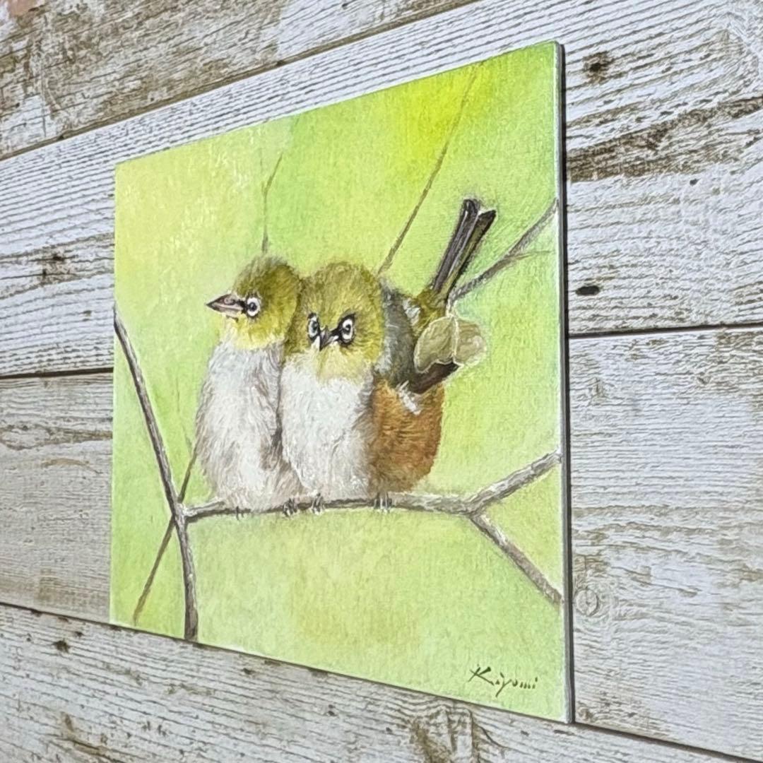 メジロ　【油絵原画】　20.32cm×25.4cm