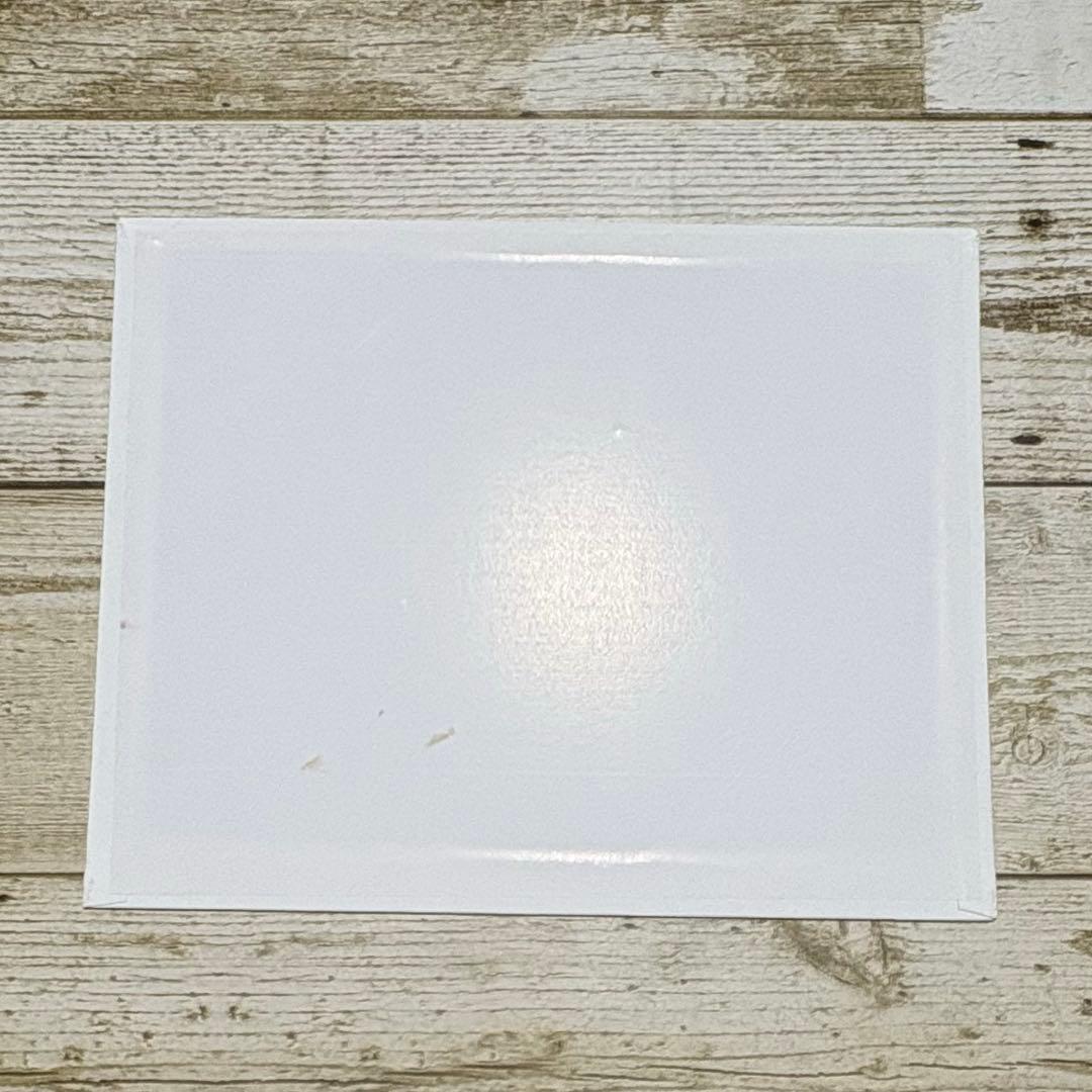 メジロ　【油絵原画】　20.32cm×25.4cm