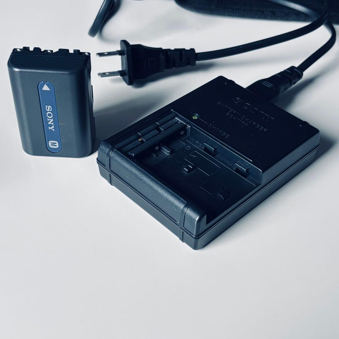 SONY αシリーズ デジタル一眼レフカメラ a100