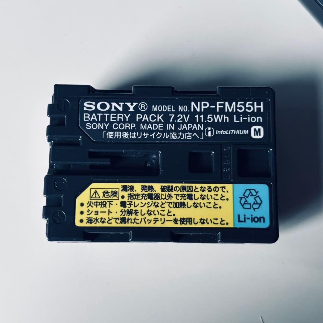 SONY αシリーズ デジタル一眼レフカメラ a100