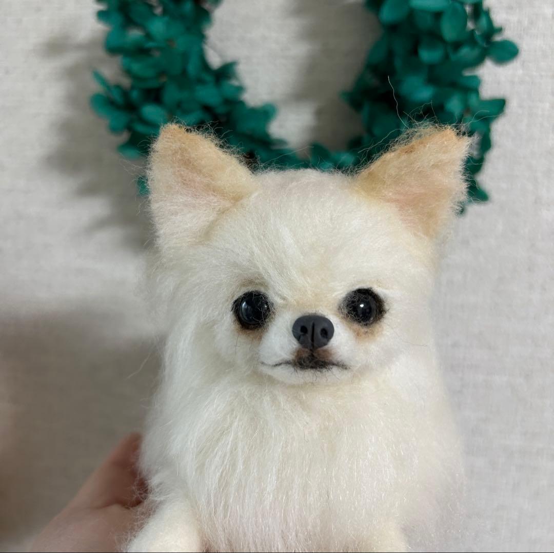 羊毛フェルト　リラックスチワワ