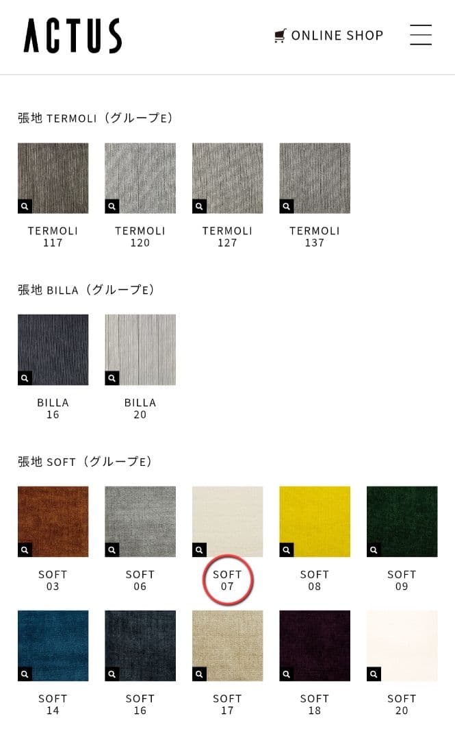 【3/3】スター☆ACTUSクッション ⚠️3/4の購入でお願いします。