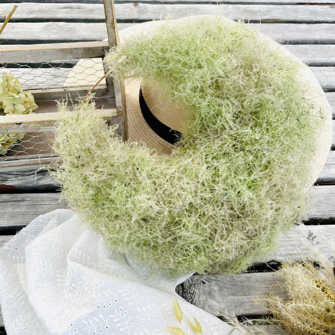 夏、秋、冬、春、来夏も^ ^スモークツリー　三日月リース　リース