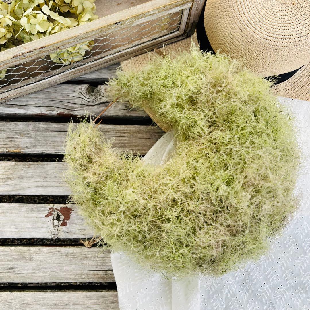 夏、秋、冬、春、来夏も^ ^スモークツリー　三日月リース　リース