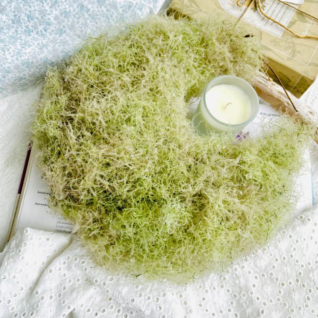 夏、秋、冬、春、来夏も^ ^スモークツリー　三日月リース　リース