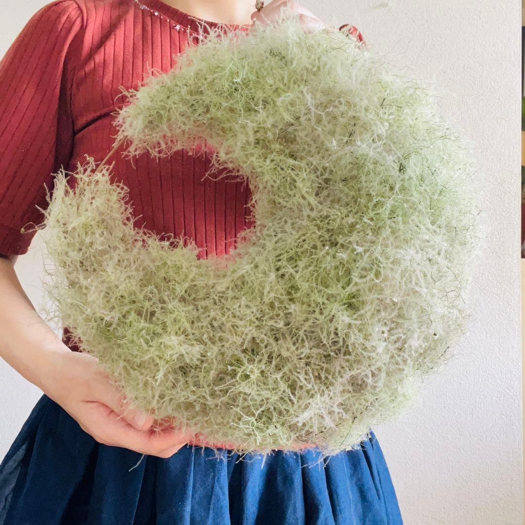 夏、秋、冬、春、来夏も^ ^スモークツリー　三日月リース　リース