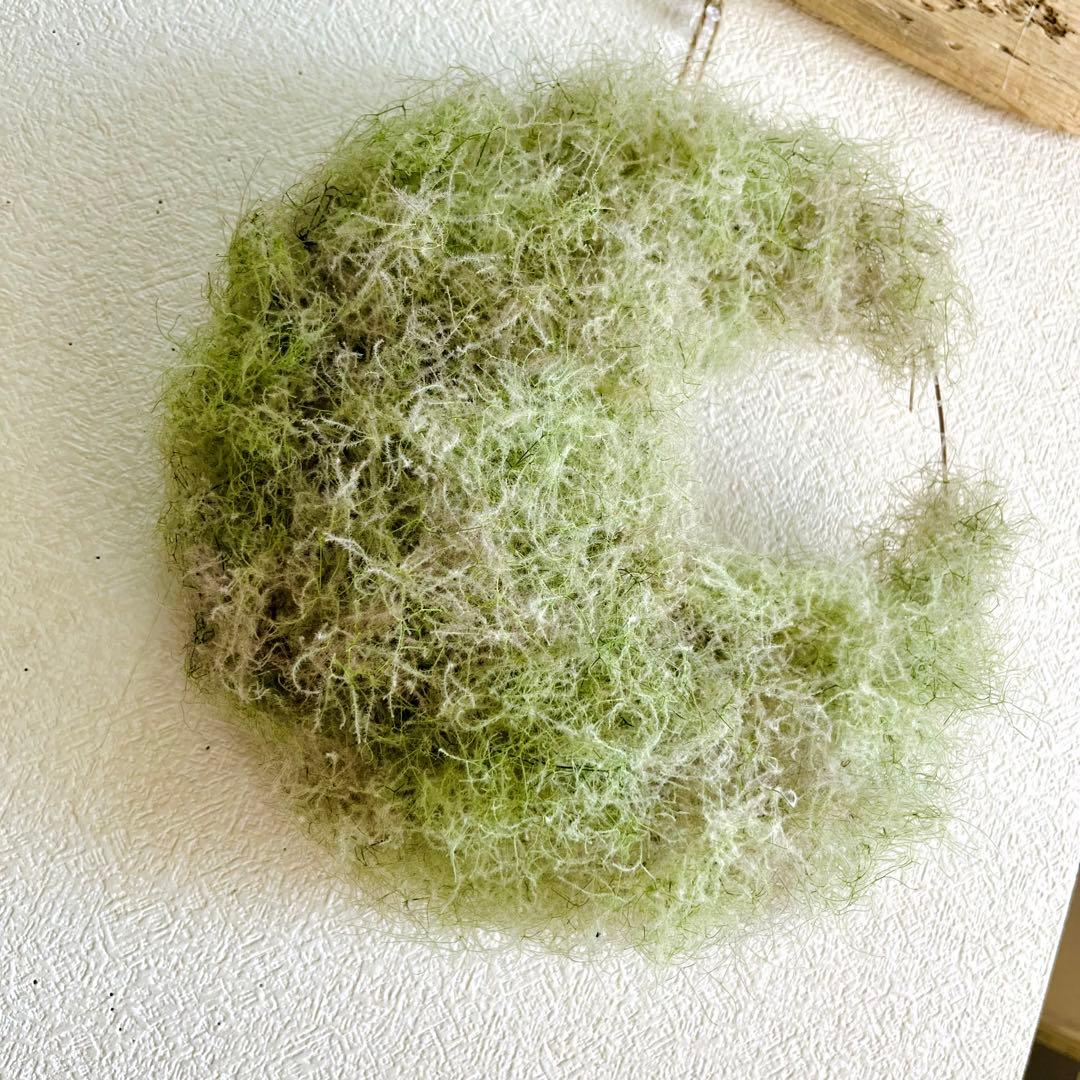 夏、秋、冬、春、来夏も^ ^スモークツリー　三日月リース　リース