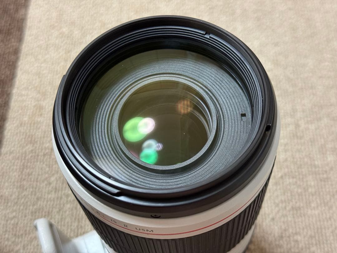 Canon 100-400mm F4.5-5.6L IS II USM レンズ