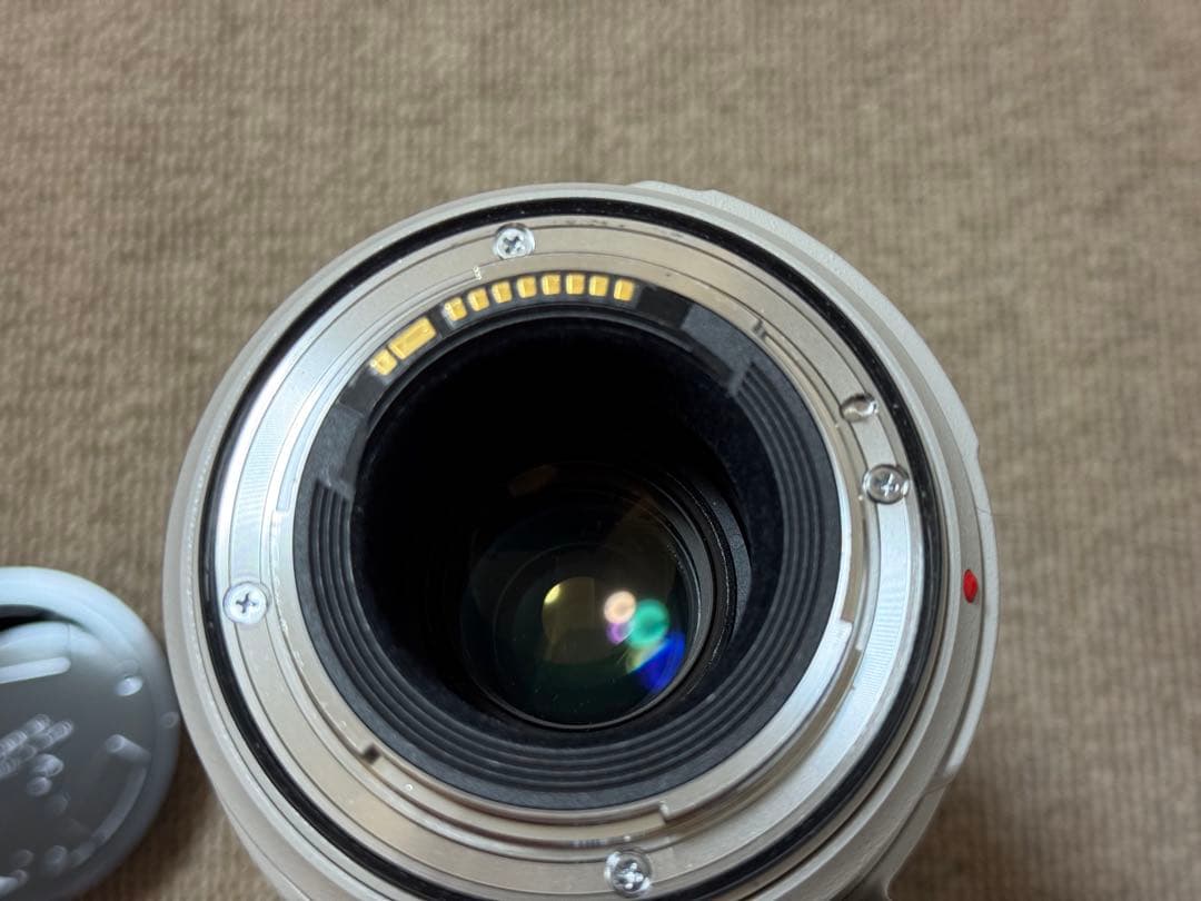Canon 100-400mm F4.5-5.6L IS II USM レンズ