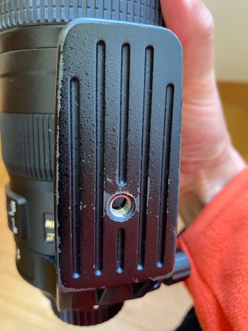 Nikon AF-S NIKKOR 200-500mm f5.6 + テレコン