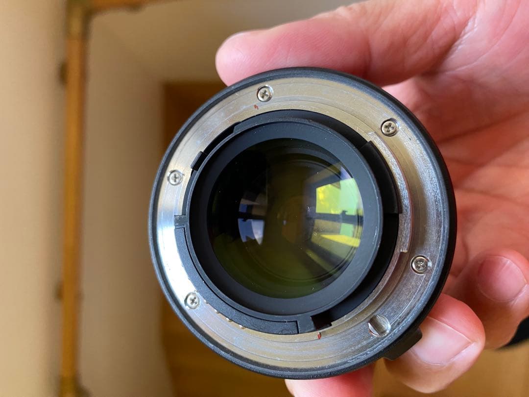 Nikon AF-S NIKKOR 200-500mm f5.6 + テレコン