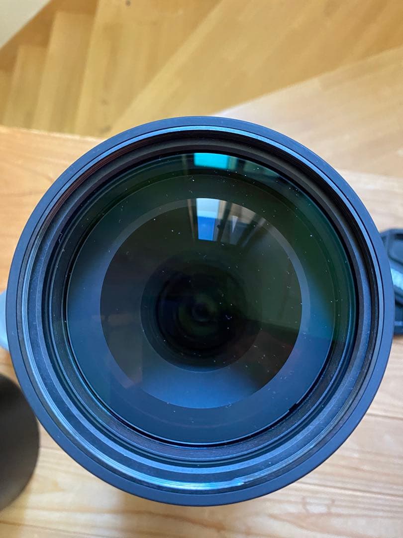 Nikon AF-S NIKKOR 200-500mm f5.6 + テレコン