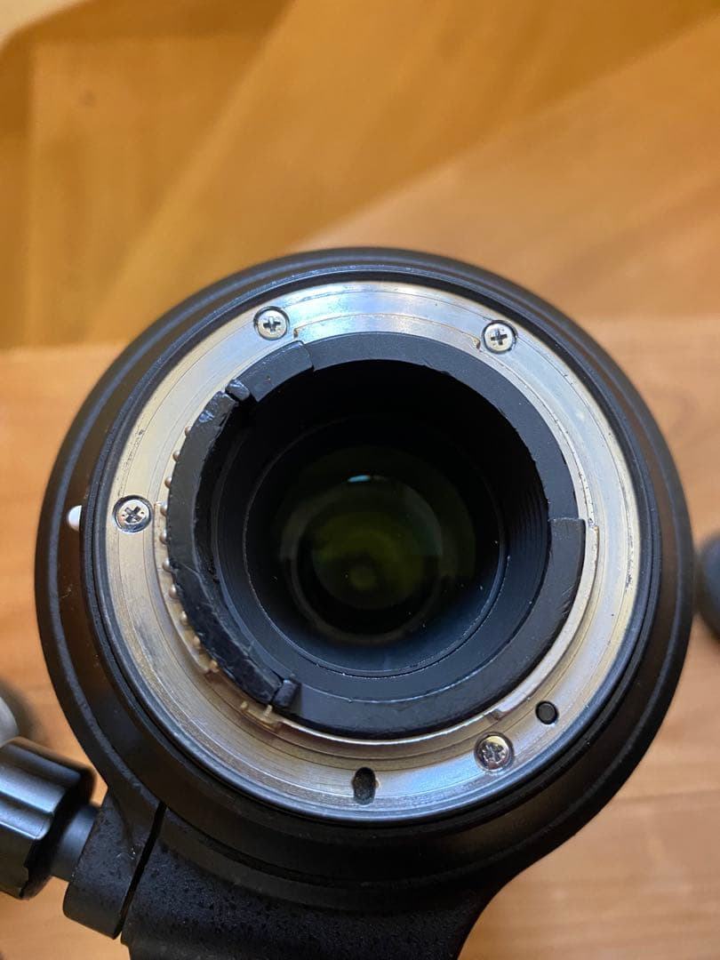 Nikon AF-S NIKKOR 200-500mm f5.6 + テレコン