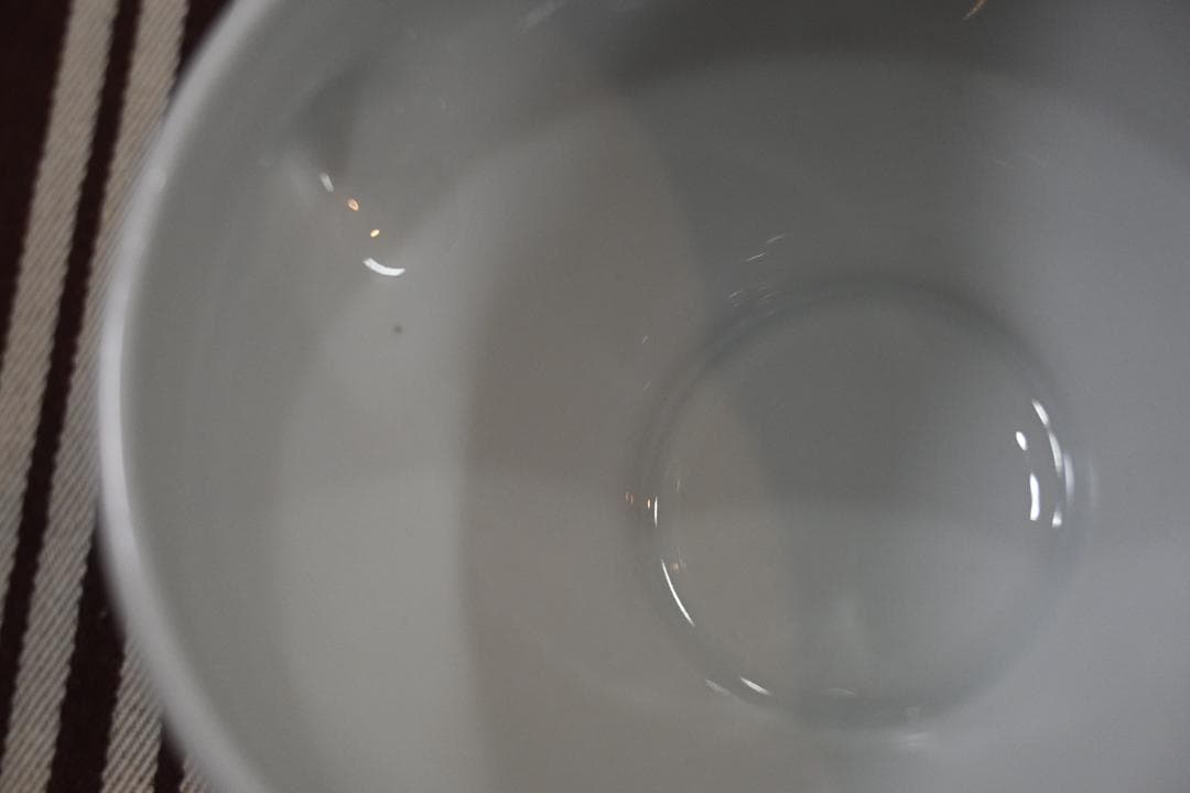 ＊F.O.B COOP × APILCO＊ ライオンヘッドスープボウル2個セット