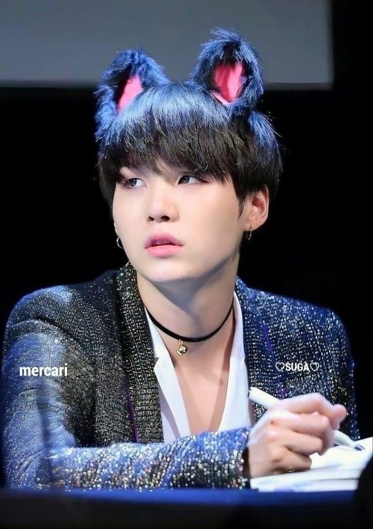 BTS ぬいぐるみ 10cm SUGA AgustD ユンギ テテ ジン ジミ