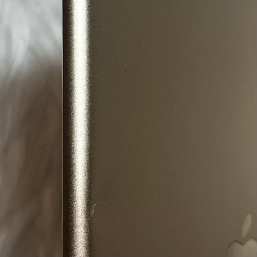 iPad Air2 32GB A1566 Wifiモデル コーティング塗布済