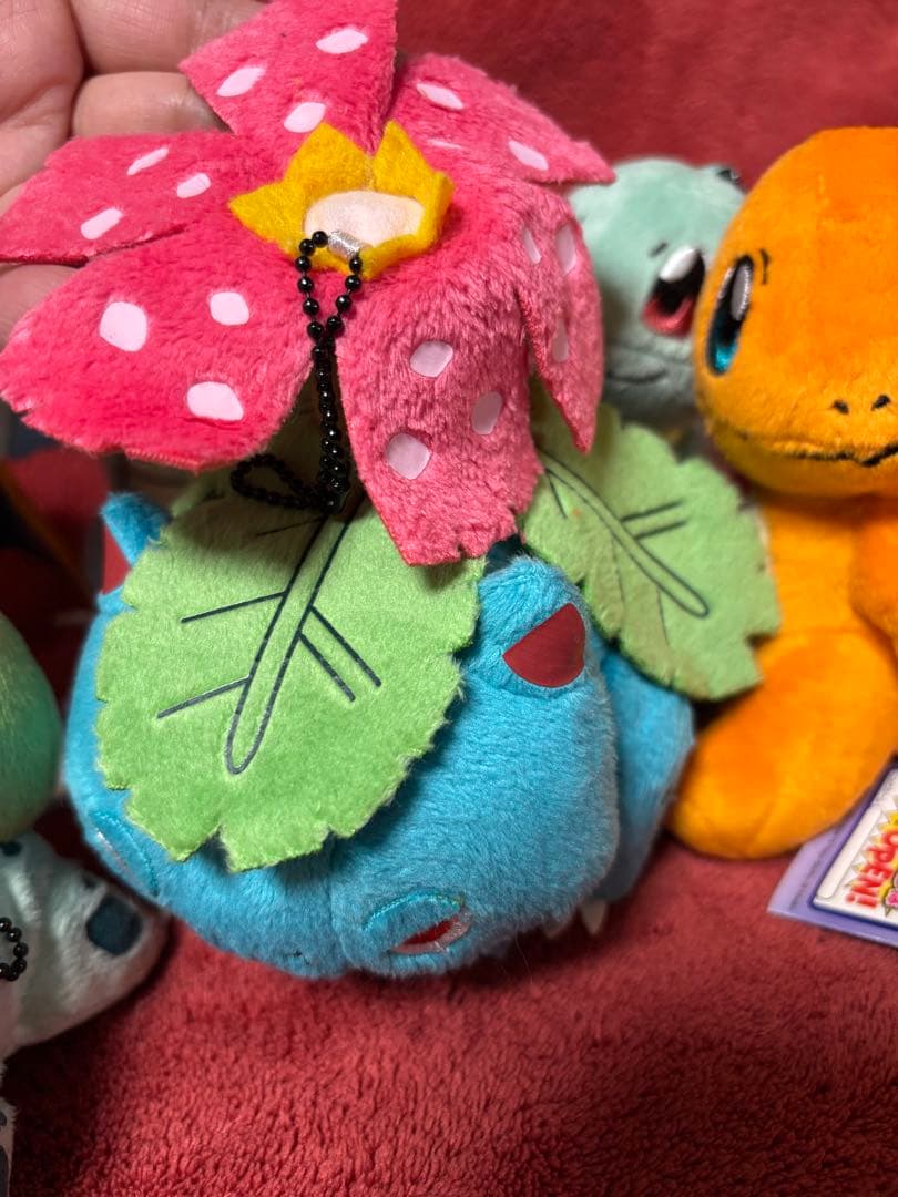 ポケモンPokemonぬいぐるみセット！ボールチェーン付き可愛いです！