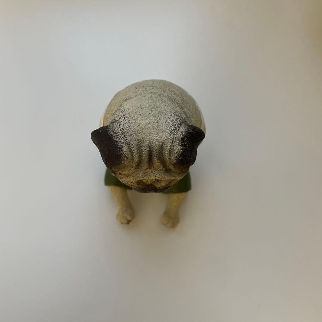 朝隈俊雄　犬の留守番　パグ