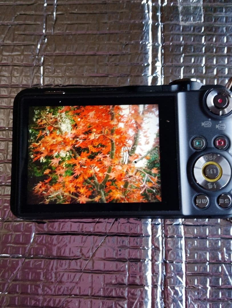 Casio デジカメ Exilim EX-FC100