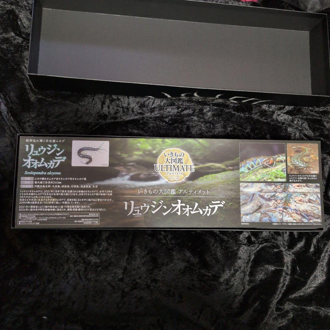 バンダイ　いきもの大図鑑アルティメット　リュウジンオオムカデ　ガシャポン
